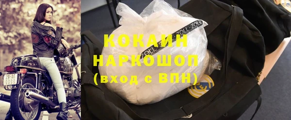 гашик Балахна