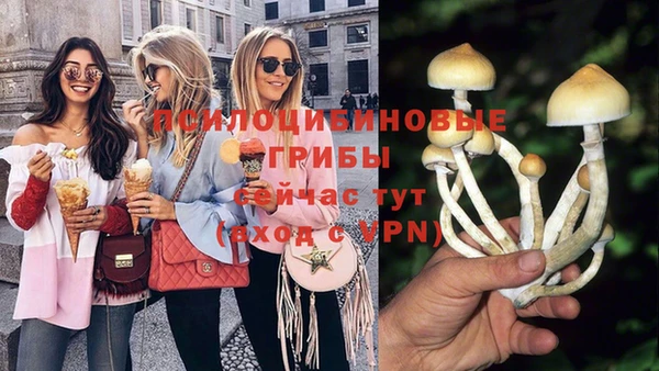 гашик Балахна