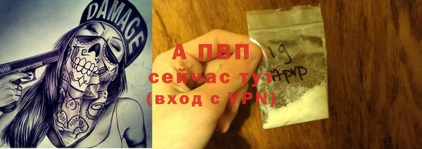гашик Балахна