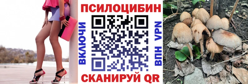 omg как зайти  Красный Кут  Галлюциногенные грибы прущие грибы 